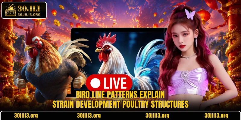 Bird line patterns explain strain development poultry structures