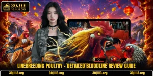 Linebreeding Poultry - Detailed Bloodline Review Guide