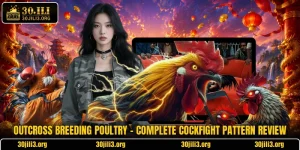 Outcross Breeding Poultry - Complete Cockfight Pattern Review